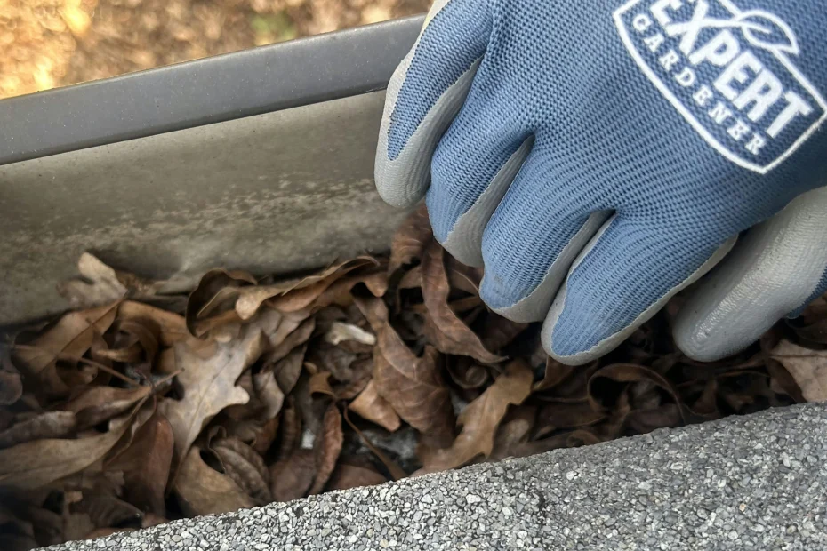 Gutter Cleaning Shenandoah TX