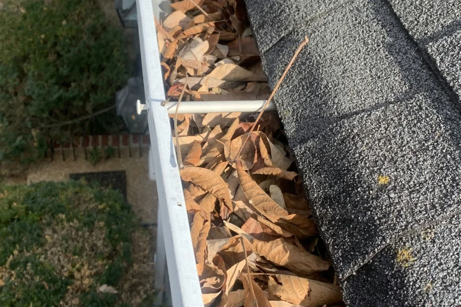 Gutter Cleaning Shenandoah TX