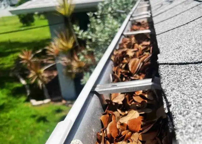 Gutter Cleaning Shenandoah TX home page